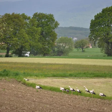 Daire Sud Alsace Largue